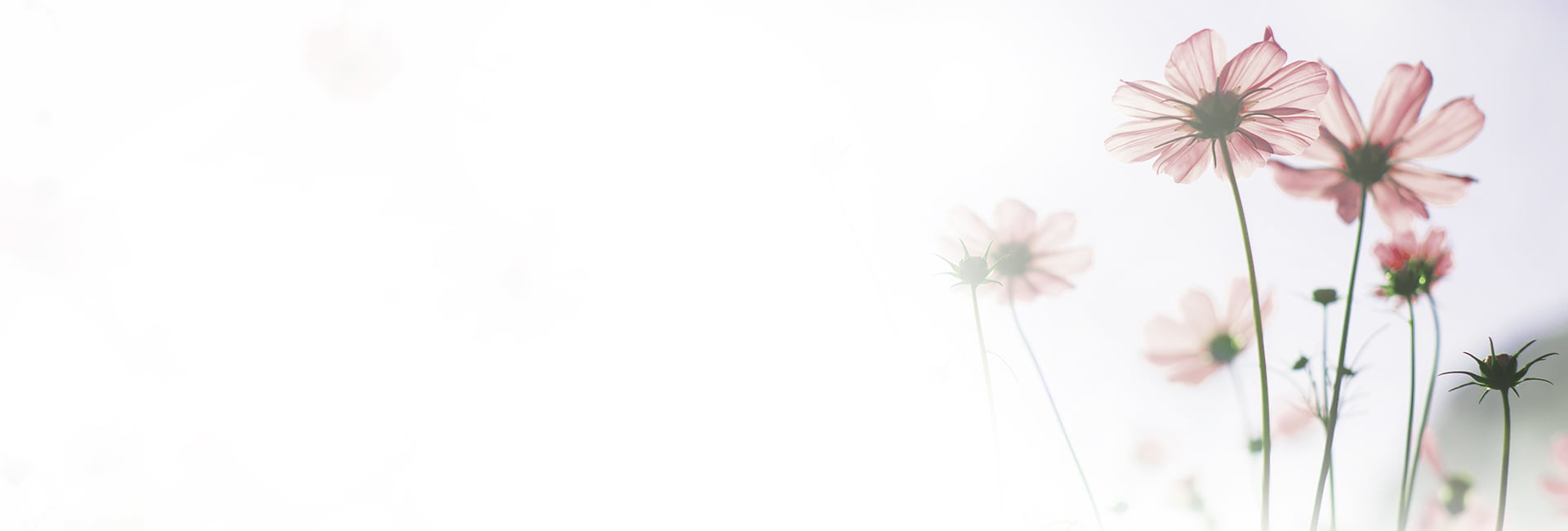 nature-2