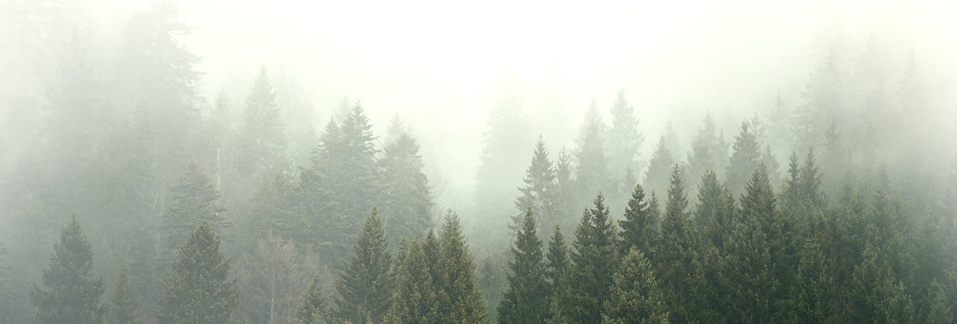 nature-5